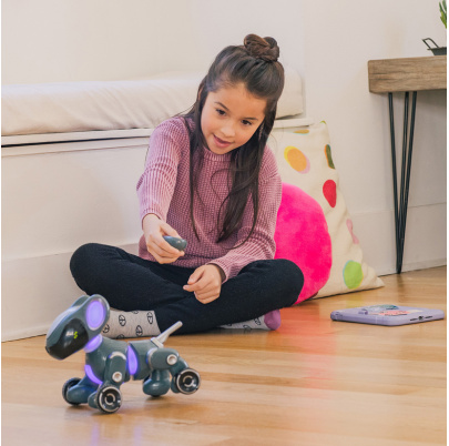 Robotický programovateľný pes PYXEL