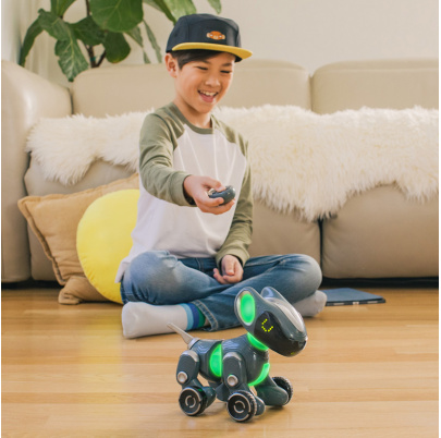 Robotický programovateľný pes PYXEL