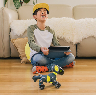 Robotický programovateľný pes PYXEL