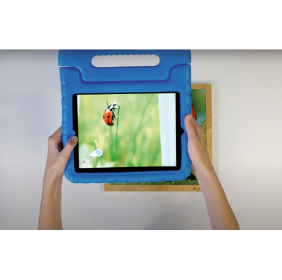 Životný cyklus lienky + AR