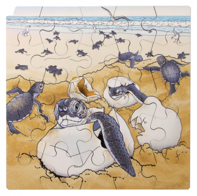 Životný cyklus korytnačky + AR