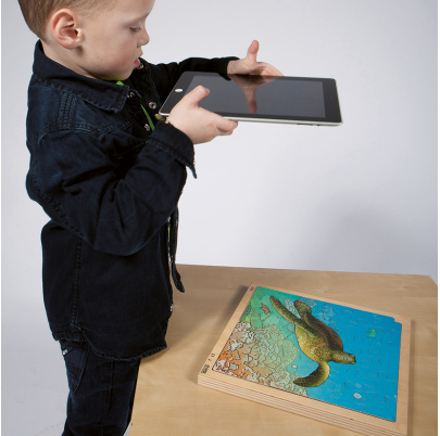 Životný cyklus korytnačky + AR