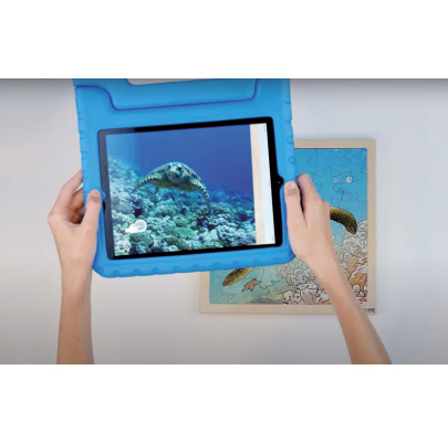 Životný cyklus korytnačky + AR