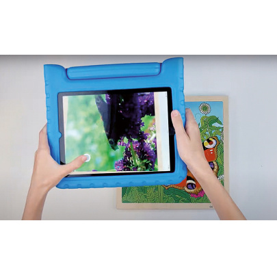 Životný cyklus motýľa + AR