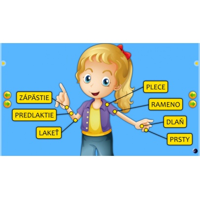 Ľudské telo (SIA5)