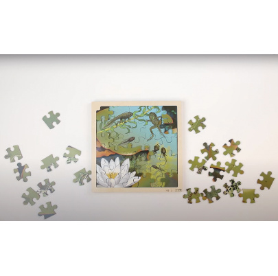 Životný cyklus žaby + AR