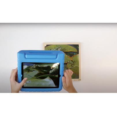 Životný cyklus žaby + AR