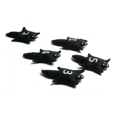 Lietajúce veveričky