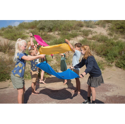 Lietajúce veveričky