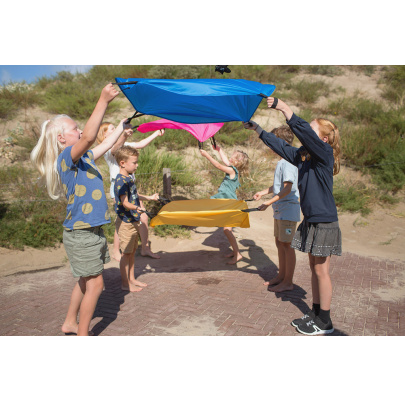 Lietajúce veveričky