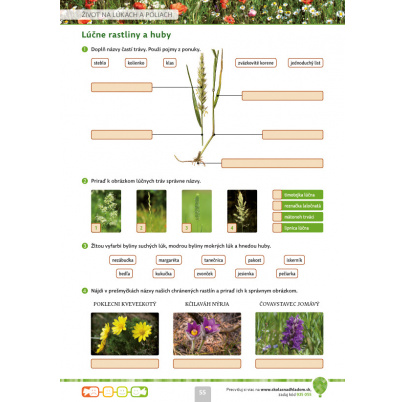 Biológia 5 s nadhľadom