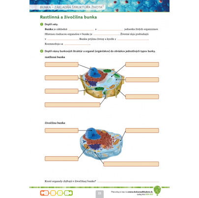 Biológia 6 s nadhľadom