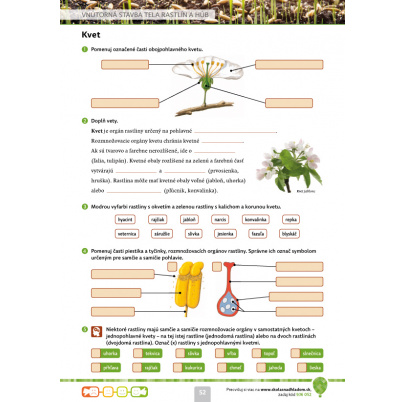 Biológia 6 s nadhľadom