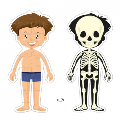 Puzzle Spoznávame ľudské telo - kostra a orgány - Chlapec