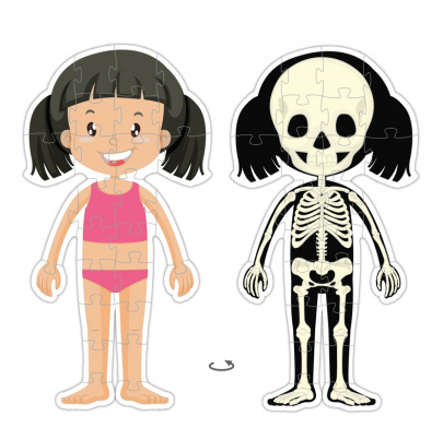 Puzzle Spoznávame ľudské telo - kostra a orgány - Dievča