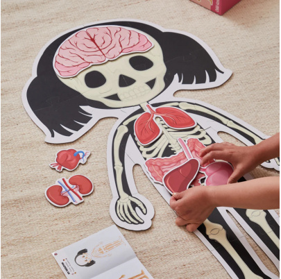 Puzzle Spoznávame ľudské telo - kostra a orgány - Dievča