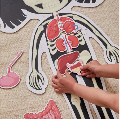 Puzzle Spoznávame ľudské telo - kostra a orgány - Dievča