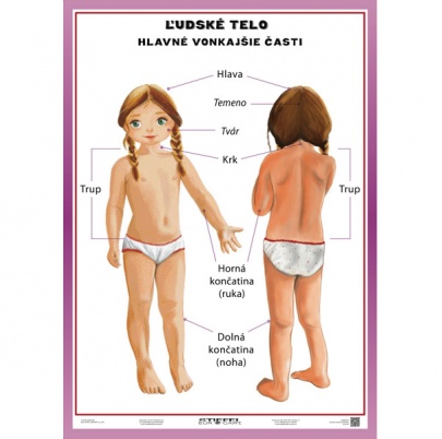 Ľudské telo - vonkajšie časti