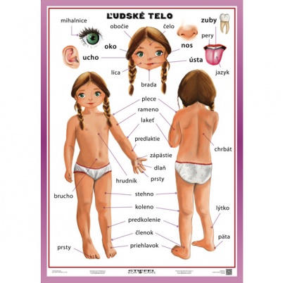 Ľudské telo - vonkajšie časti