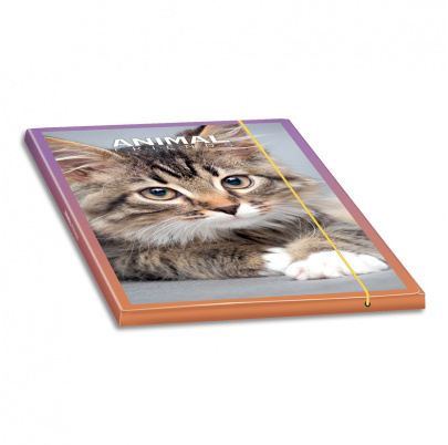 3-klopové kartónové dosky na spisy ANIMAL FRIENDS eko - 6 ks