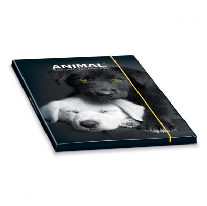 3-klopové kartónové dosky na spisy ANIMAL FRIENDS bw - 4 ks