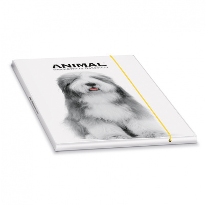 3-klopové kartónové dosky na spisy ANIMAL FRIENDS bw - 4 ks