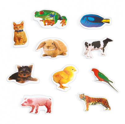 Penové samolepky - fotografie zvierat