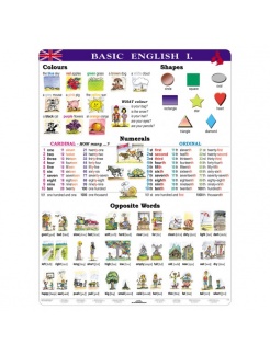 Basic English I