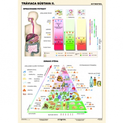 Tráviaca sústava, II. diel