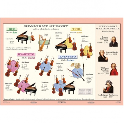 Symfonický orchester/Komorné súbory