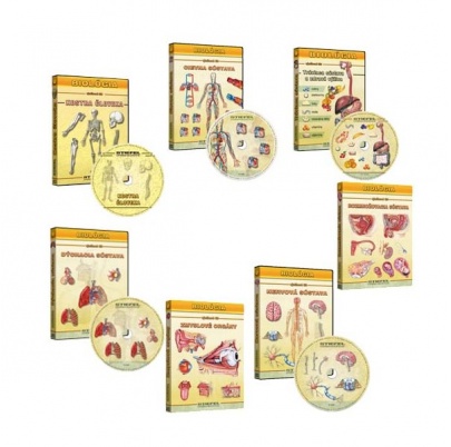 Anatómia človeka (SL)