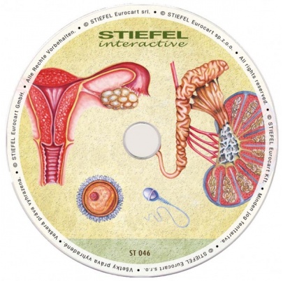 Rozmnožovacia sústava (SL)