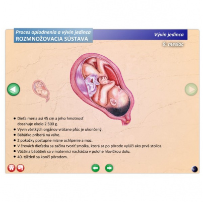 Rozmnožovacia sústava (SL)