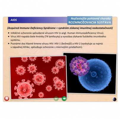 Rozmnožovacia sústava (SL)