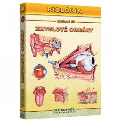 Zmyslové orgány (SL)