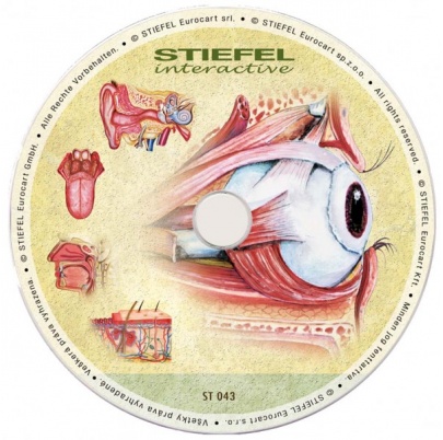 Zmyslové orgány (SL)