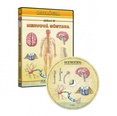 Nervová sústava (SL)