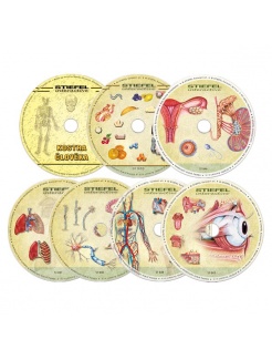 Anatómia človeka - 4 výučbové programy (SL)
