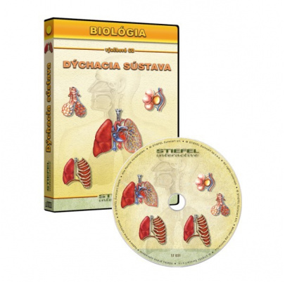 Anatómia človeka - 4 výučbové programy (SL)