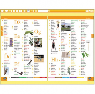 Môj prvý slovník slovenského jazyka (DL)