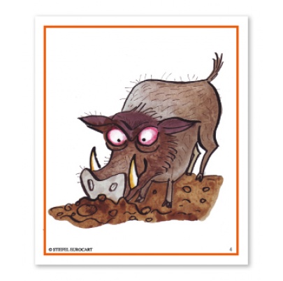 Obrázkové kartičky