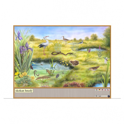 Prírodné spoločenstvá (DL)