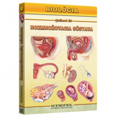 Rozmnožovacia sústava (DL)