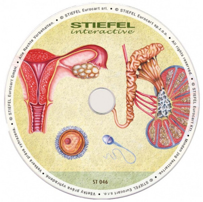 Rozmnožovacia sústava (DL)