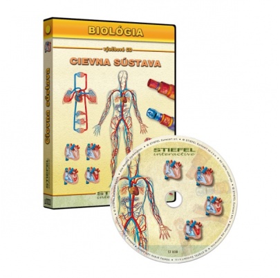 Cievna sústava (DL)