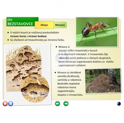 Bezstavovce (DL)