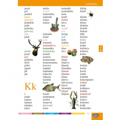 Môj prvý slovník slovenského jazyka (SL5)