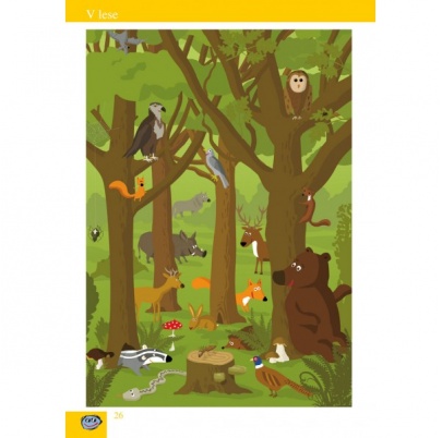 Môj prvý slovník slovenského jazyka (SL5)