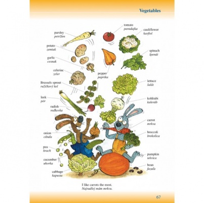 Môj prvý školský anglicko-slovenský, slovensko-anglický slovník (SL10)