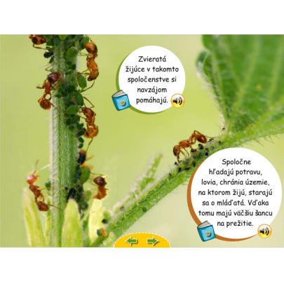 Živá príroda pre MŠ (DL)